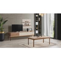 Long TV Ünitesi
