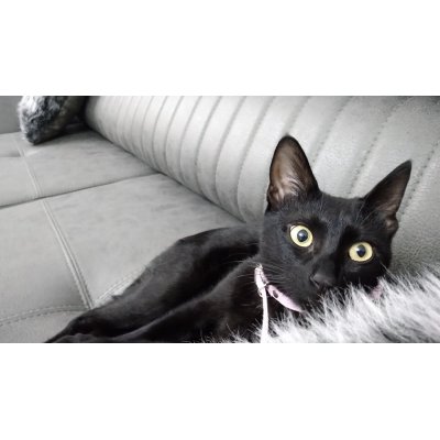 Zafer ATEŞ - Tekirdağ